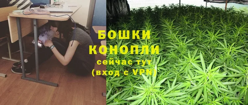 МАРИХУАНА SATIVA & INDICA  закладки  Заводоуковск 